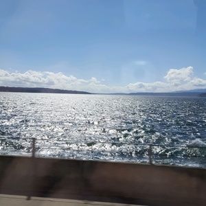 Meet your Posher, Kyra